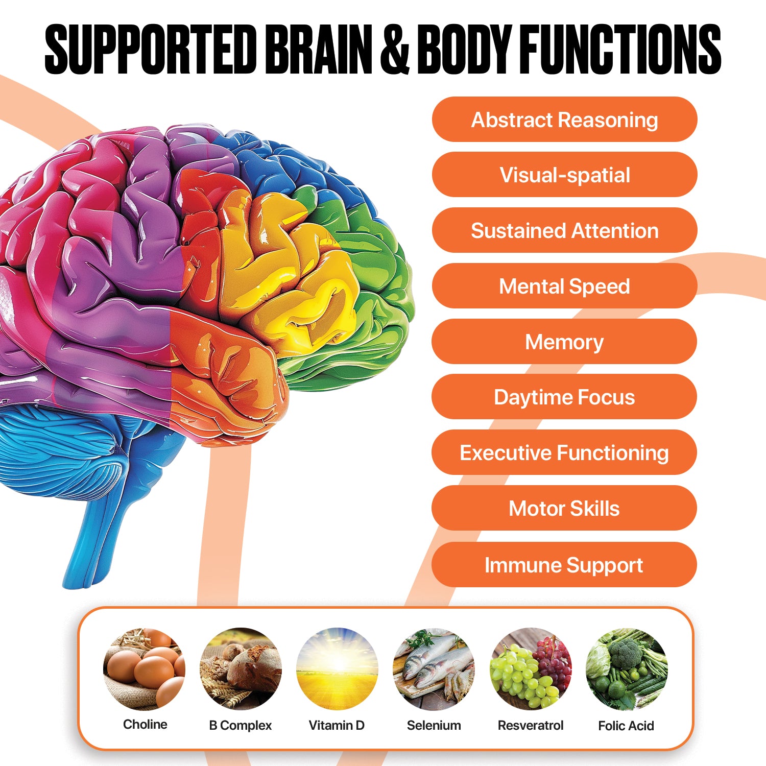Super Brain Multivitamin (60 ct) | Choline, B12, D, Selenium, more | Memory & Focus Support