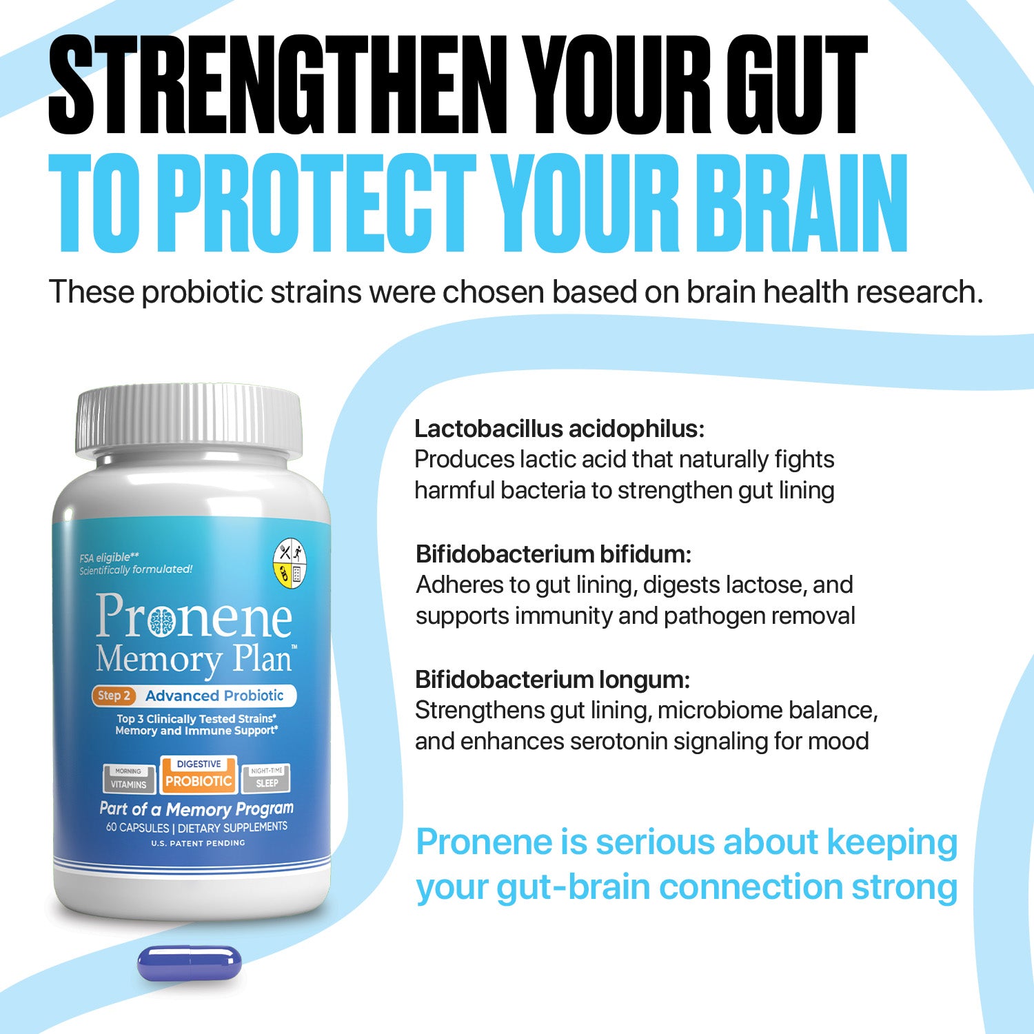 Advanced Probiotic (60 ct) | Gut, Immunity & Memory Support | Bifidobacterium & Lactobacillus Strains
